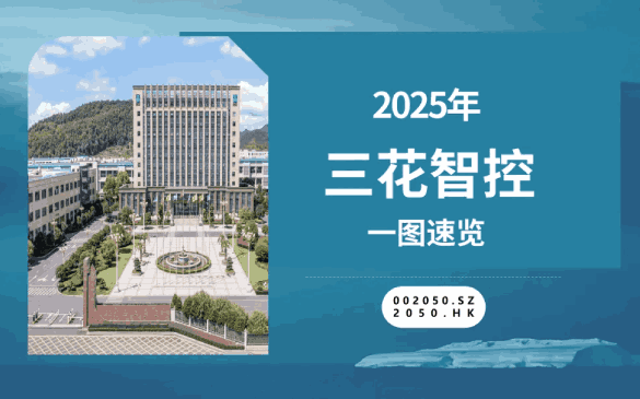 云顶集团4008智控2025年报新鲜出炉！！